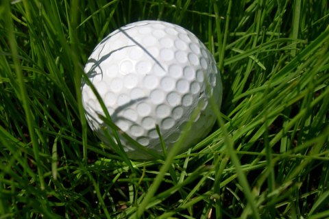 Golf_ball_grass