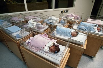Newborn babies in hospital nursery