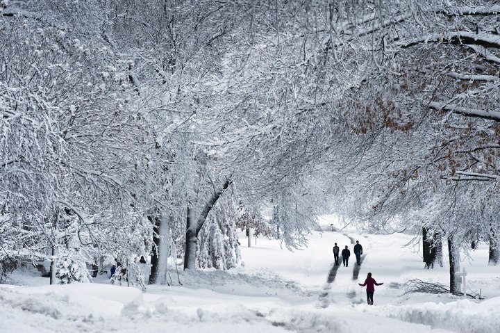 Pedestrians walk down snowswept streets after a snowstorm hit the midwest in Prairie Village, Kan., Feb. 26, 2013.