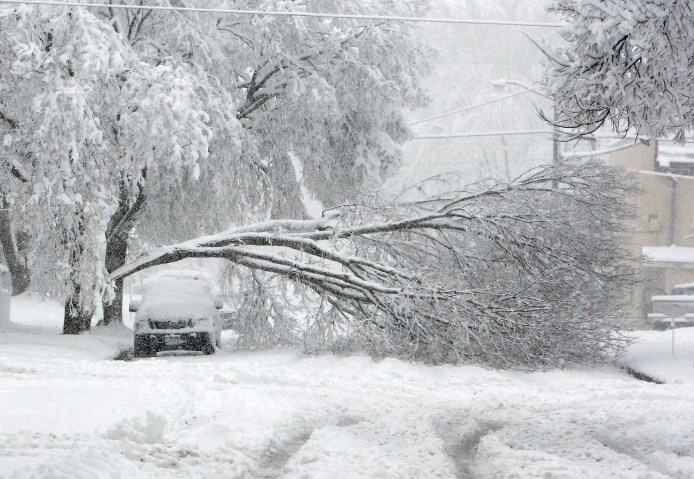 A fallen tree branch completely blocks 10th Street SE in Rochester, Minn., narrowly missing a parked car on May 2, 2013.  