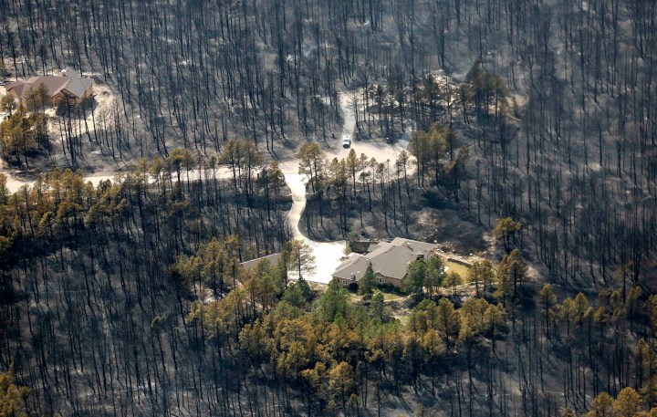 A house sits undamaged in the aftermath of the Black Forest Fire in Black Forest, Colo., on June 13, 2013.