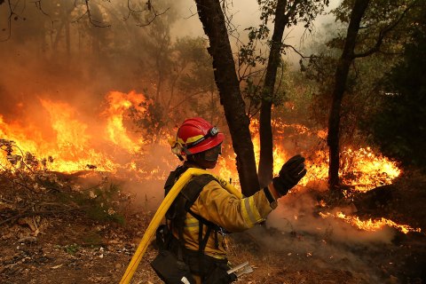 Rim Fire Burns Near Yosemite National Park