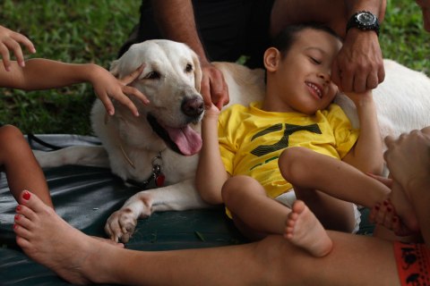 Geovany Gonzalez, with cerebral palsy, lies on top of Fiona, a therapeutically trained dog, during a therapy session at the Colitas Foundation in Panama City, on Sept. 22, 2012. The Colitas Foundation, run by Mario Chang, sponsors a program using trained dogs for therapeutic practice and to help improve the quality of life of children and teenagers with mental and physical disabilities such as Down Syndrome, Cerebral Palsy and autism.