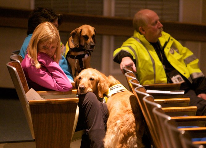 From left: Glen Hoffman of Extra Mile Ministries with K9 crisis comfort dog Beau listens to a community meeting at the Newtown High school on the future of Sandy Hook Elementary School, the site of the second deadliest school shooting in U.S. history, in Newtown, Conn., on Janu. 13, 2013. K9 crisis comfort dog Dolly (rear) with her owner Laurie Buchele are also pictured.   