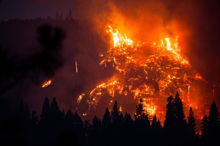 The Rim Fire burns near Buck Meadows, California