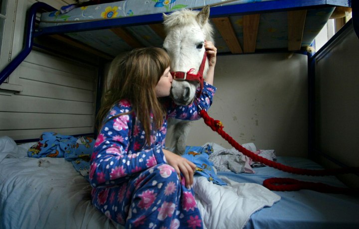 10-year-old Carissa Boulden kisses her pet horse Princess as it stands on her bed at her family home in Sydney, on Aug. 18, 2004. Princess, a Shetland pony, is given free run of the suburban Sydney house, eats with her owners at mealtimes and drinks beer every Sunday but, also provides therapy for Carissa who suffers cerebral palsy.