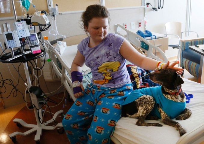 Elizabeth Blue-Norton, 14, a patient at Childrens Hospital Colorado pets Brownie, a therapy dog, in Aurora, Colo., on April 14, 2013. A dog-assisted therapy and visitation program called the Prescription Pet Program has been in place at the hospital since 1984.  Picture taken April 14, 2013. 