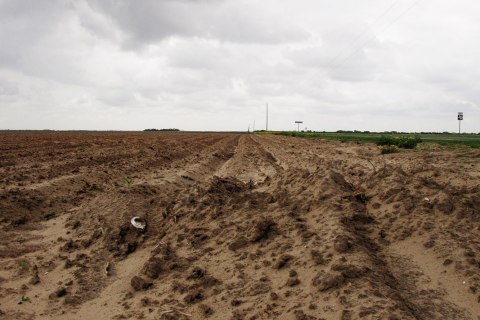 Farmers in South Texas are struggling with uneven crops and some that never emerged as the Rio Grande Valley suffers through its driest stretch ever recorded. 