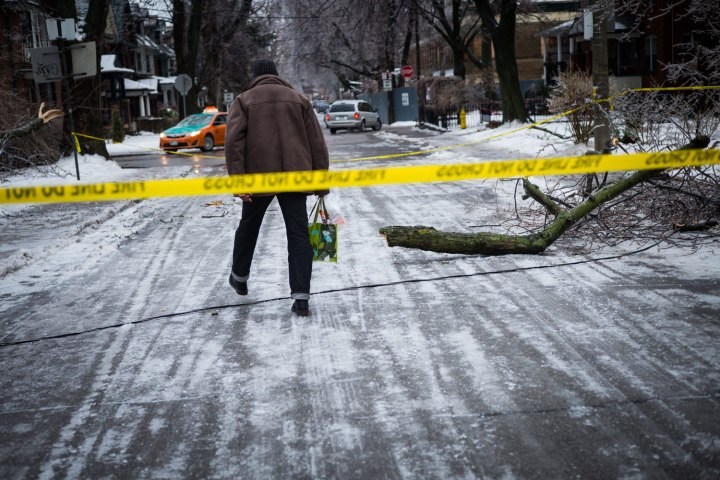 A man steps over downed power line near Dufferin Grove Park in Toronto, on Dec. 22, 2013 following an ice storm.