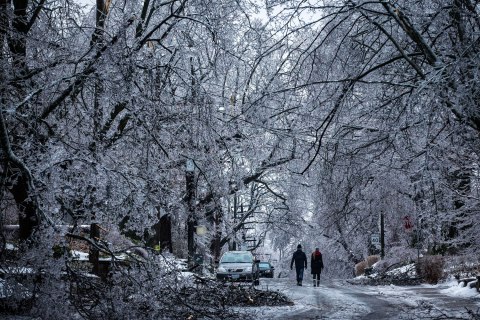 People walk past fallen ice-covered tree limbs along a road following an ice storm in Toronto, on Dec. 22, 2013.