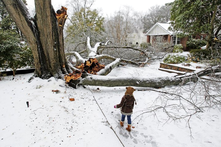 Gaby McDuffie walks by the large limbs that fell of a tree on Pinewood Drive and Fulton Street, in Columbia, S.C., on Feb. 13, 2014.